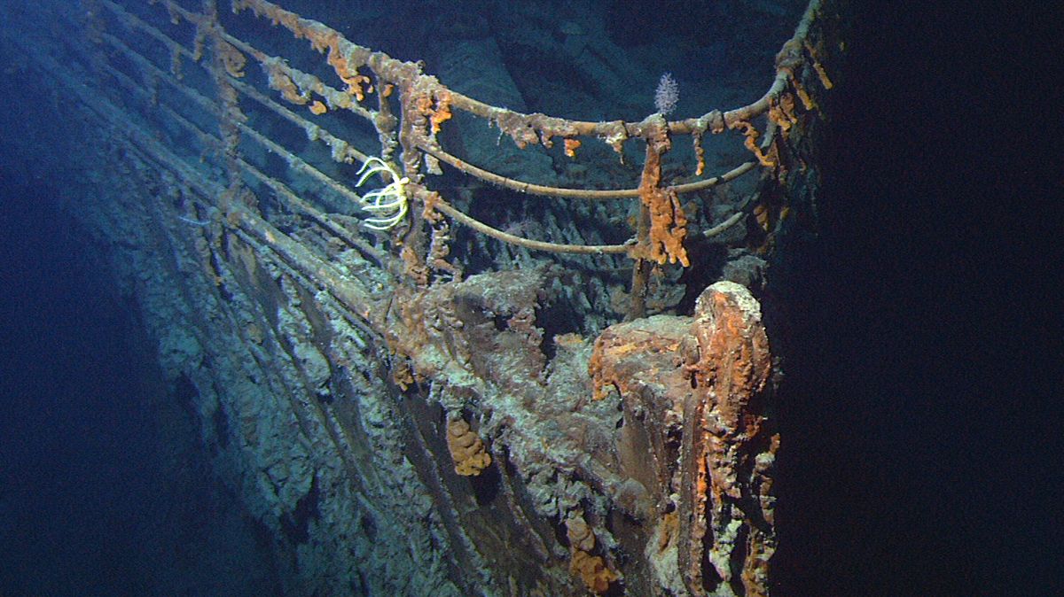 Kus dřeva, který v Titanicu zachránil Rose, se vydražil za 17 milionů